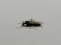 IMG_2788.jpeg