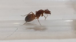 IMG_20250718_020354.jpg