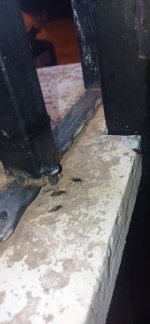 IMG_0064.jpeg