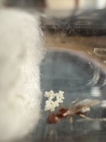 IMG_7659.jpeg