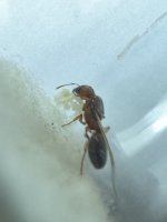 IMG_8189.jpeg