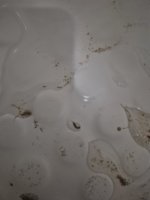 20250718_105736.jpg