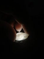 IMG20250718102129.jpg
