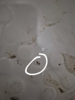 20250718_105736.jpg