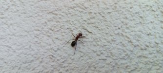IMG_20250718_115804.jpg