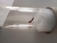20250718_150149.jpg
