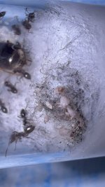 IMG_6825.jpeg