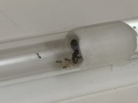 IMG_0567.jpeg
