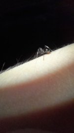 20250718_203523.jpg
