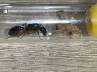 IMG_7458.jpeg