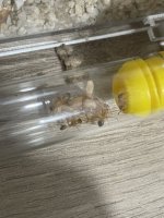 IMG_7460.jpeg