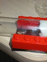 IMG_20250718_225129.jpg