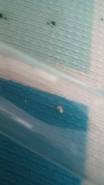 20250719_140601.jpg