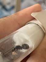 IMG_0572.jpeg