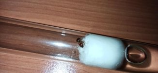 IMG_20250719_191059.jpg