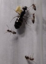 IMG_20250720_003304.jpg