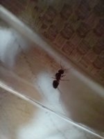IMG20250720135303.jpg