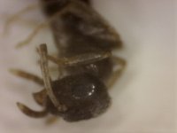 20250720-193939-024.jpg