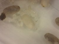 20250720-194430-740.jpg