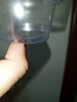 IMG_20250720_212908_260.jpg