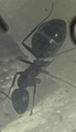 IMG_8503.jpeg