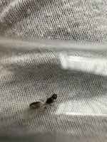 IMG_7662.jpeg