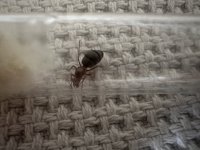IMG_9079.jpeg
