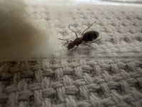 IMG_9078.jpeg