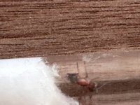 IMG_9088.jpeg