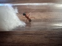 IMG_9090.jpeg