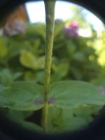 IMG-20250721-WA0016.jpg