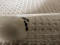 IMG_9076.jpeg