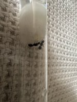 IMG_9075.jpeg