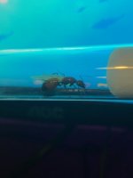 IMG_2499.jpeg