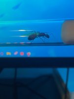 IMG_2498.jpeg