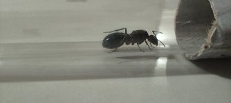 IMG_20250721_205509.jpg