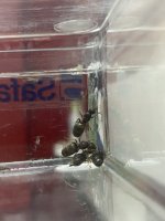 IMG_8179.jpeg
