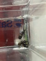 IMG_8180.jpeg
