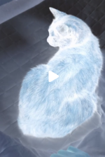 1753179349756.png