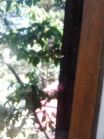 IMG_20250722_143657.jpg