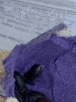 IMG_0585.jpeg