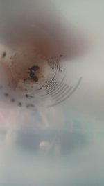 20250722_161841.jpg