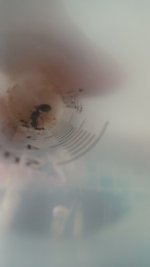 20250722_161839.jpg
