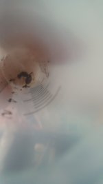 20250722_161837.jpg