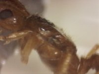 20250722-211758-361.jpg