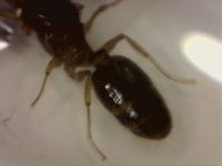 20250722-211901-636.jpg