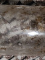 20250722_172044.jpg