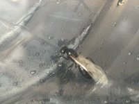 IMG_0241.jpeg