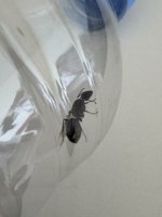 IMG_0246.jpeg
