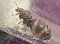 IMG_3733.jpeg